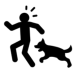 Accidentes por Mordedura de Perro